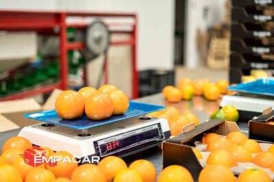 Trabajo para Empacar Frutas Cerca de Pasadena California