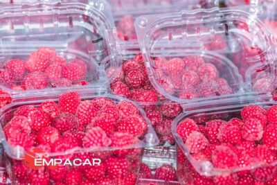 Trabajo para Empacar Frutas Cerca de Queens