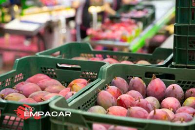 Trabajo para Empacar Frutas Cerca de West Covina, California