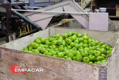 Trabajo para Empacar Frutas cerca de San Leandro, California