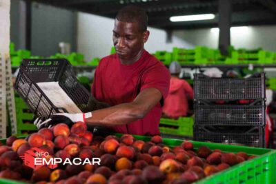 Trabajo para Empacar Frutas en Pacoima Los Ángeles