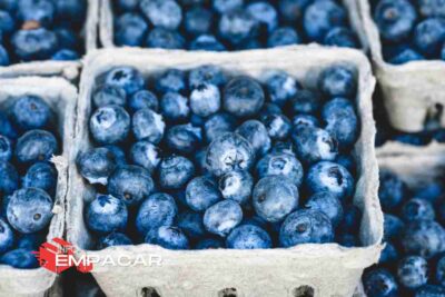 Trabajo para empacar frutas cerca de Baltimore, Maryland