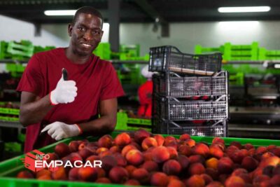 Trabajo para empacar frutas cerca de Hayward California
