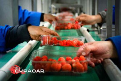 Trabajo para empacar frutas cerca de Sacramento, California
