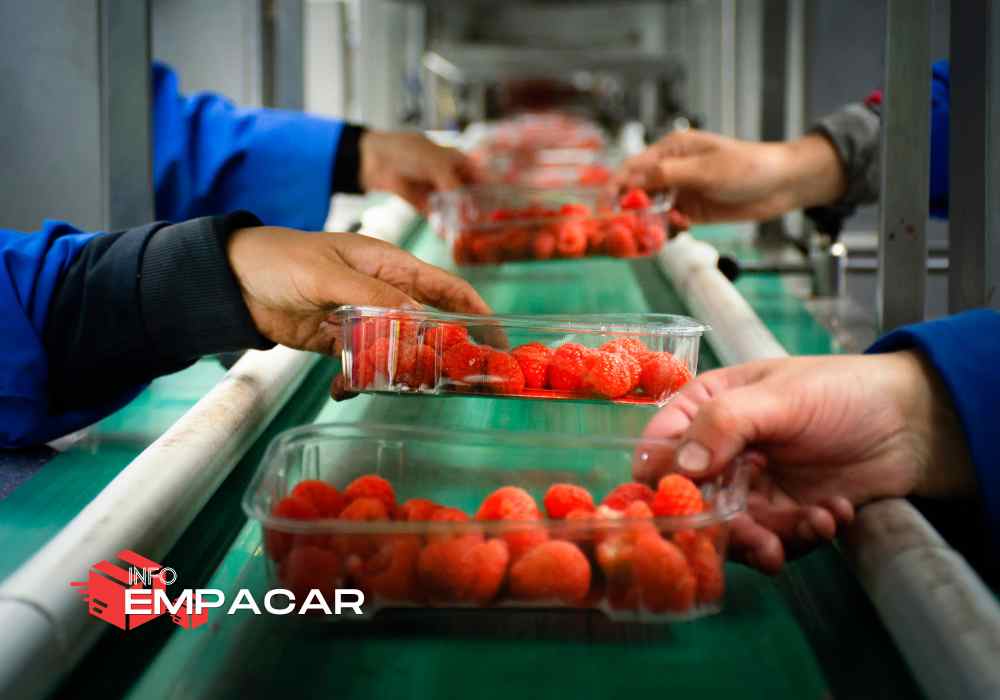 Trabajo para empacar frutas cerca de Sacramento, California