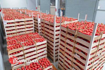 Trabajo para empacar frutas cerca de Stockton, California