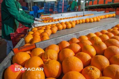 Trabajo para empacar frutas en California