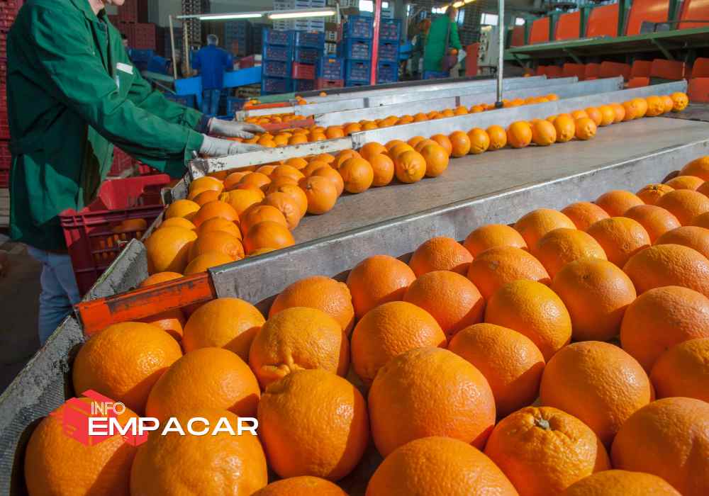 Trabajo para empacar frutas en California