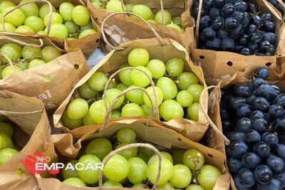 Trabajo para empacar frutas en Florida